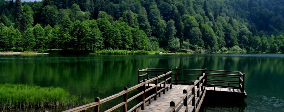 İzmir Çıkışlı Karadeniz Ve Batum Turu (7 Gün)