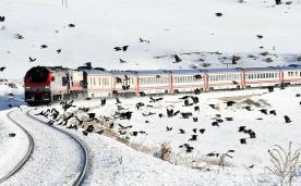 Ankara Çıkışlı Doğu Ekspresi Van Kars Erzurum Turu ( Uçakla Gidiş Dönüş )